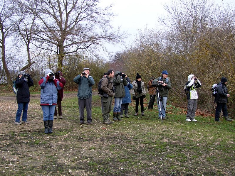 2009 01 Ornitho à Ecluzelles 03